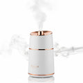 Spa Facial Steamer Pro